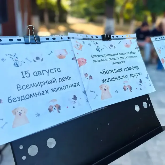 Доброта в действии: в Геническе прошла акция в поддержку бездомных животных